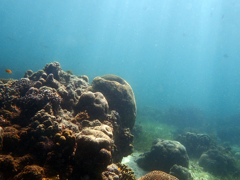 奥兰戈群岛潜水-菲律宾潜水-潜点水下景观_19-2-28远岛_海富瑜