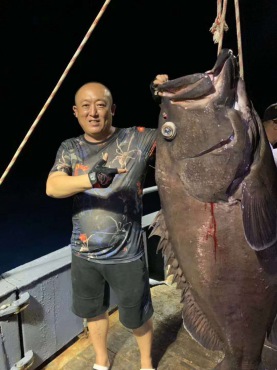 龙胆石斑_龙胆石斑_海富瑜