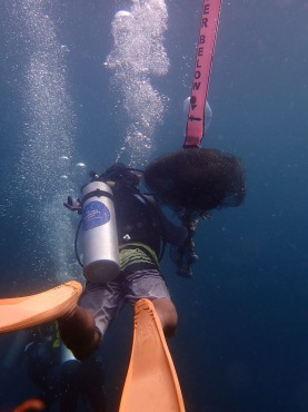 清理渔网后升水_19.10.6水下山_海富瑜