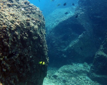 中国惠州大青针潜水_水下环境_21.5.2岛边2潜_海富瑜