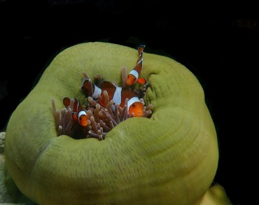 仇东平水摄摄影作品_每日一照2021_温馨的家_海富瑜