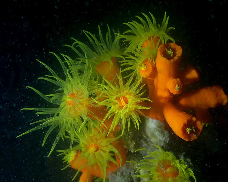 仇东平水摄作品8-九个太阳_每日一照2021_海富瑜