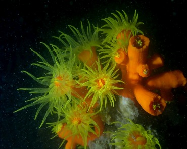 仇东平水摄作品8-九个太阳_每日一照2021_海富瑜