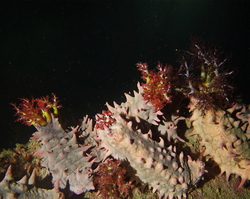 仇东平水摄作品12-一起看浩瀚星空_每日一照2021_海富瑜