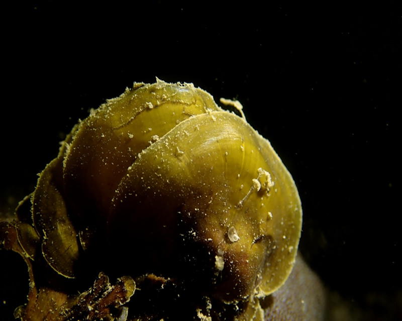 仇东平水摄作品27-沐浴阳光_每日一照2021_海富瑜