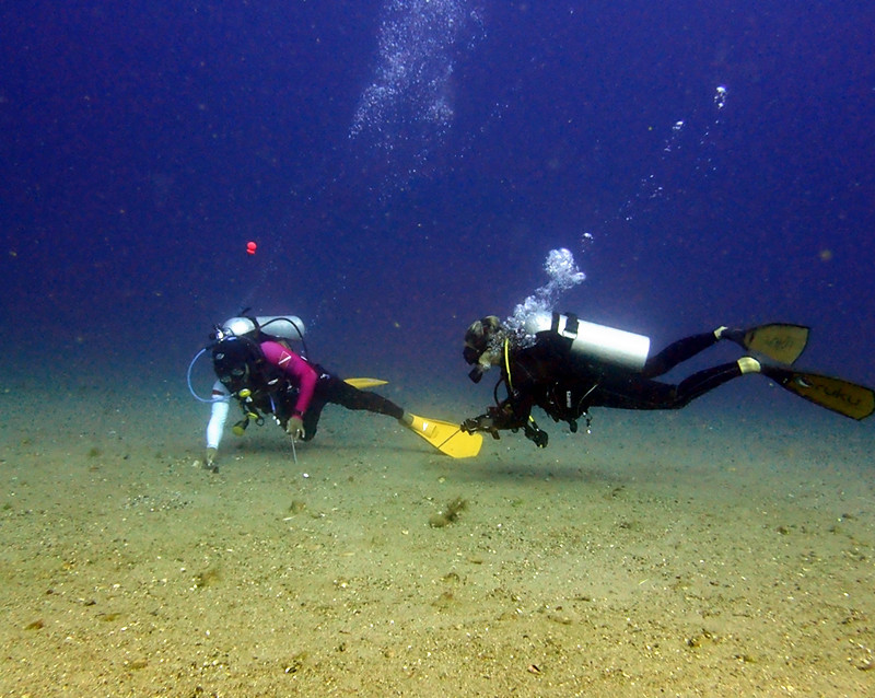 仇东平水摄作品36-搜寻_每日一照2021_海富瑜