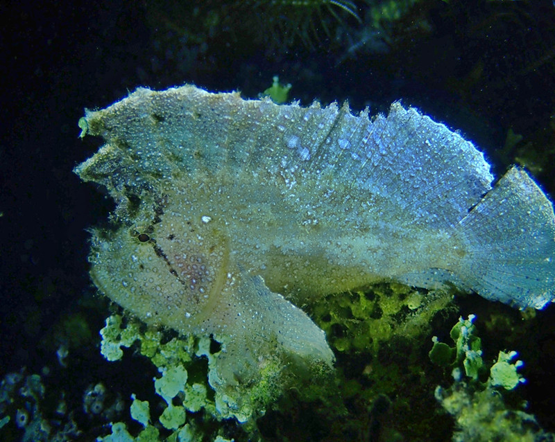 仇东平水摄作品37-守候_每日一照2021_海富瑜