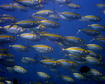 仇东平水摄作品39-金边池风暴_每日一照2021_海富瑜