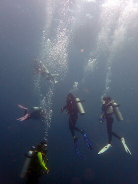 仇东平水摄作品40-五米停留_每日一照2021_海富瑜