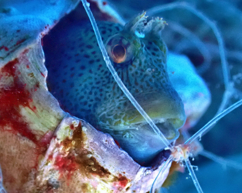 仇东平水摄作品56-我们的家园_每日一照2021_海富瑜