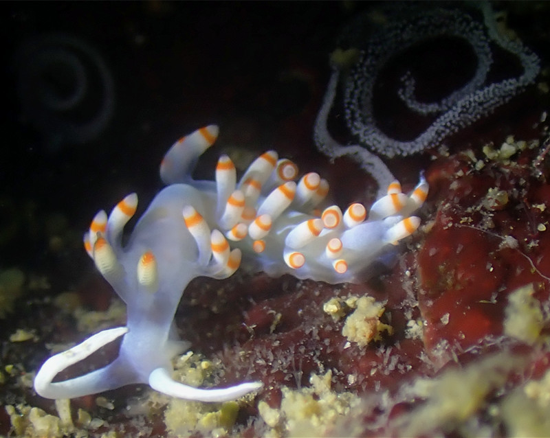 仇东平水摄作品72-伟大的母亲_每日一照2021_海富瑜