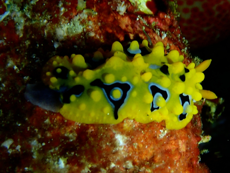 仇东平水摄作品184-金三角_每日一照2021_海富瑜