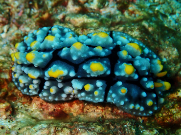 仇东平每日一照295:《石堡》_每日一照_海富瑜