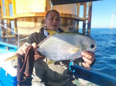 黄蜡鲳、金鲳、Trachinotus blochii_22-11-29风电塔_海富瑜